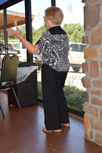 branson meeting 2015 006